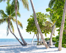 Les meilleurs hôtels de Key West sur la plage