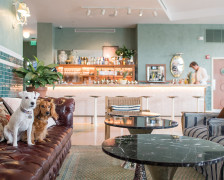 The 9 Best Pet-Friendly Hotels in Miami