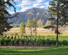 Die 19 besten Weinhotels in Mendoza