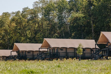 Camp Aramoni