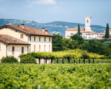 Les 7 meilleurs hôtels viticoles de la région de Valpolicella