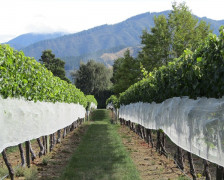 14 beste Weinhotels in Neuseeland