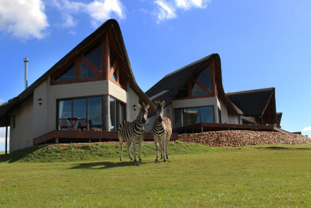 J-Bay Zebra Lodge 