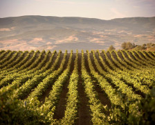 Die 10 besten Weinhotels in La Rioja