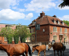 The 7 Best Pubs with Rooms in the New Forest