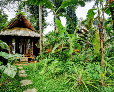 Les 5 meilleurs hôtels pour les animaux sauvages à Bali