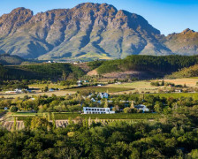 Les 14 meilleurs hôtels autour du vin à Stellenbosch