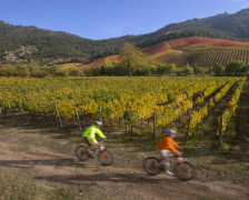 Les 8 meilleurs hôtels viticoles de la vallée de Colchagua