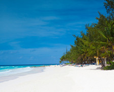 Les 11 meilleurs hôtels de la Barbade pour les familles