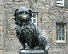 20 meilleurs hôtels accueillant les chiens en Écosse