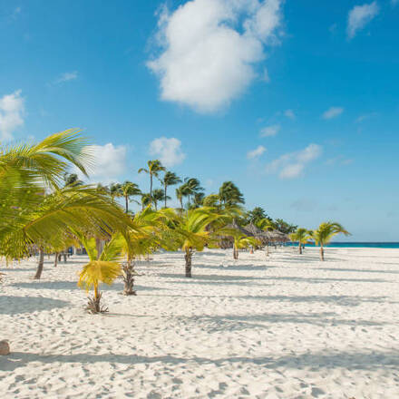 9 Mejores Hoteles de Playa en Aruba