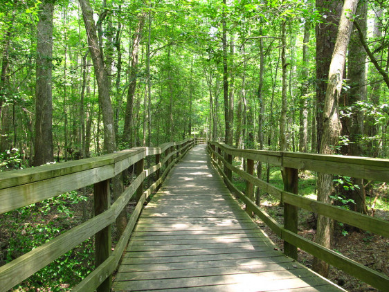 Congaree National Park