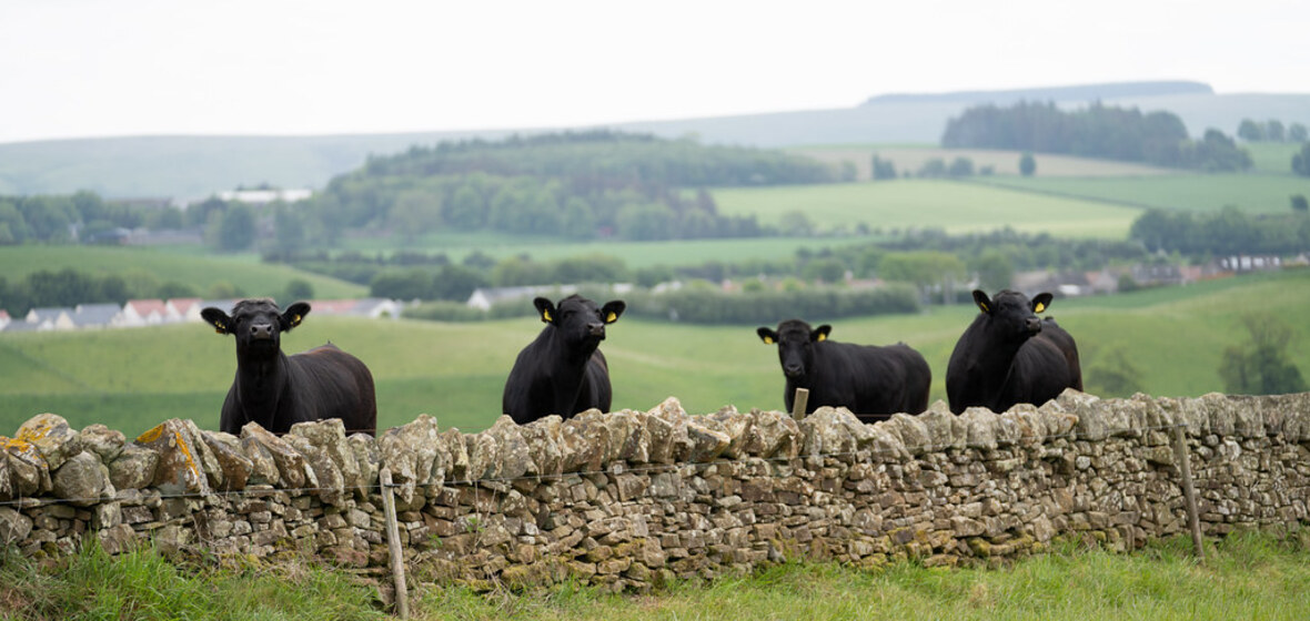 Photo of Midlothian