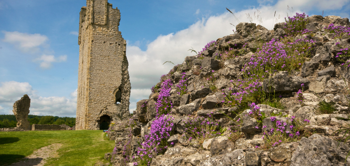 Photo de Helmsley
