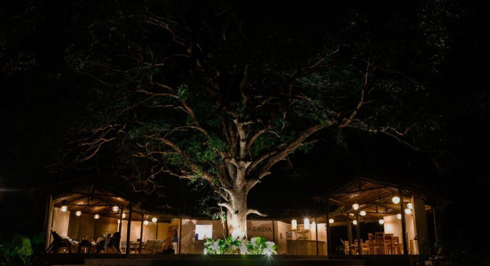 Main Lodge at Night