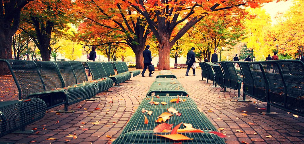 Best places to stay in Sapporo, Japan | The Hotel Guru