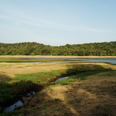 Giritale, Sri Lanka