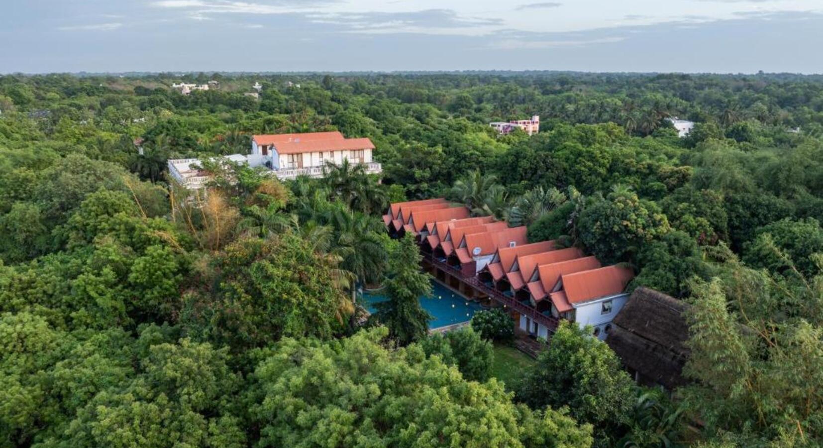 Photo de Mango Hill Auroville