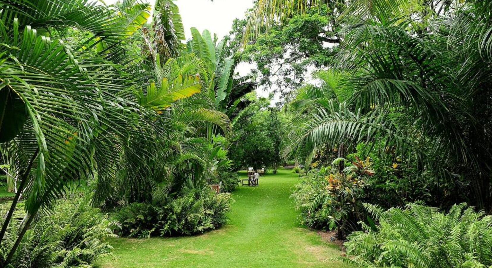 Gardens