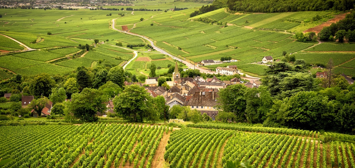 Foto de Chablis