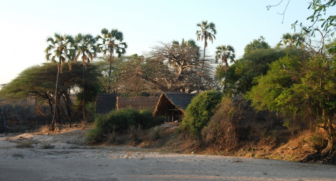Photo of Mwagusi, Ruaha National Park
