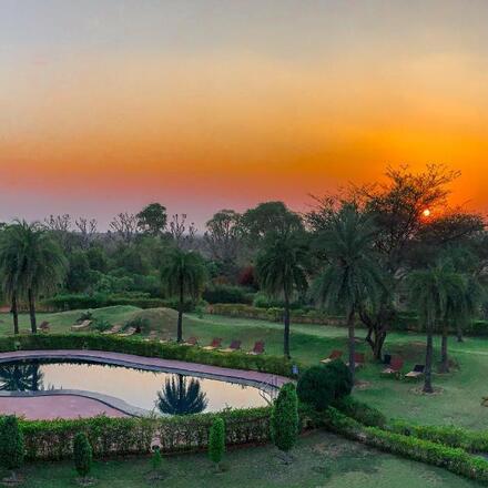 Clarks Safari Pushkar