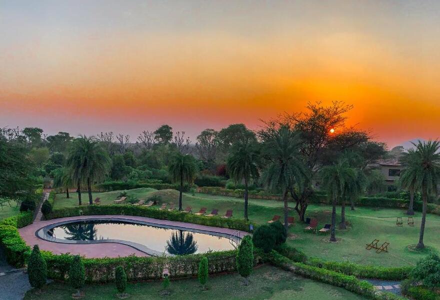 Clarks Safari Pushkar