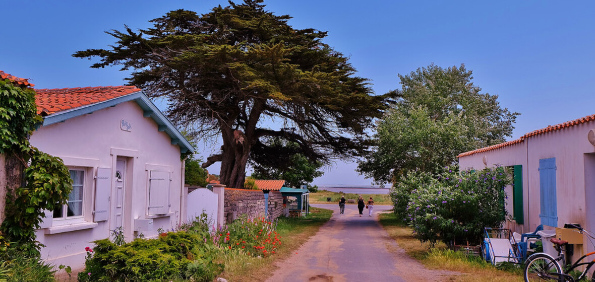 Photo of Ile d'Aix
