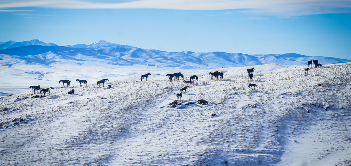 Photo of Three Forks