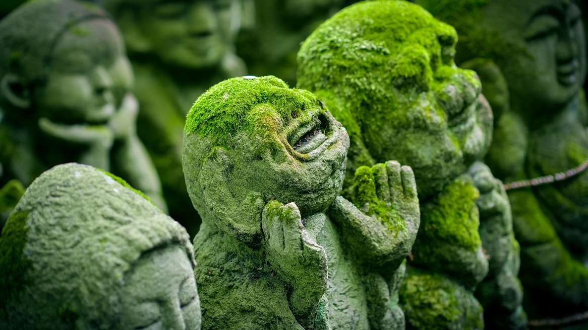 Norther Nigashiyama shrine gardens