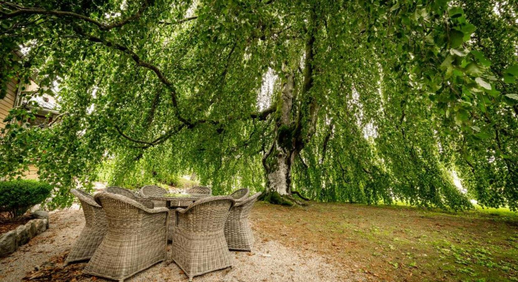 Gardens