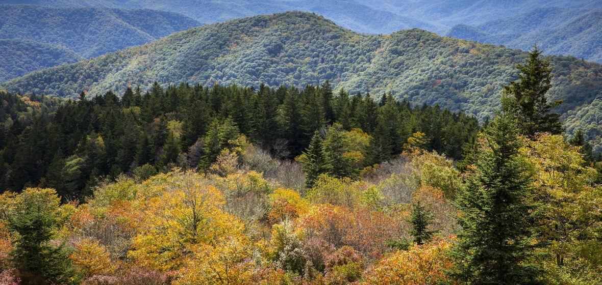 Photo de Waynesville