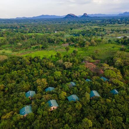 Sigiriya Forest Edge