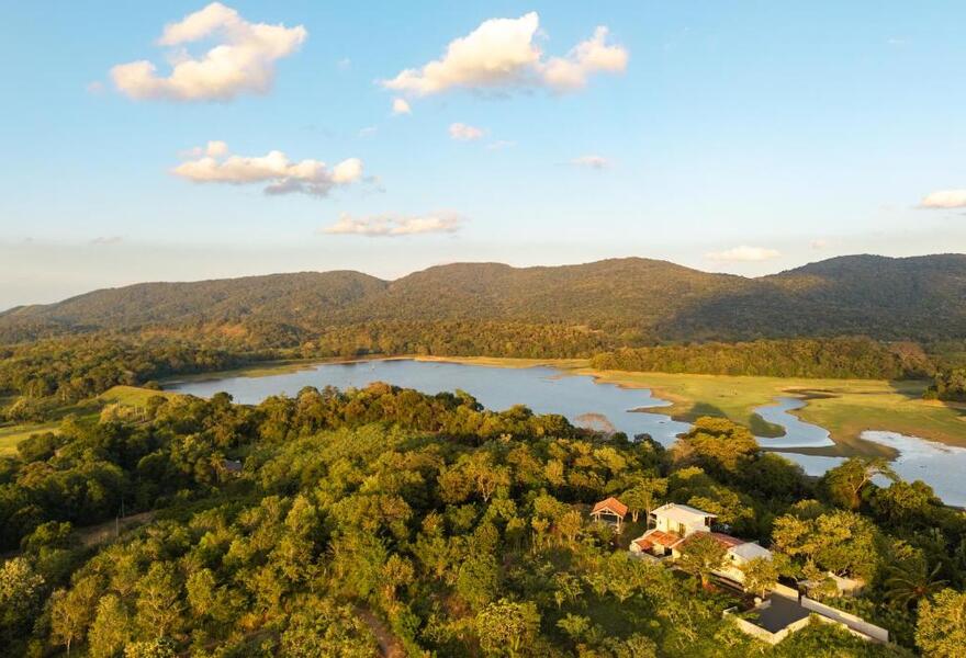 Peacock Hill