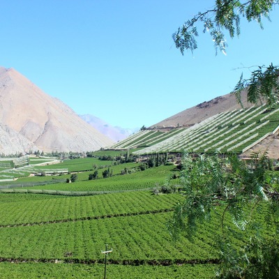 Valle del Elqui hotels