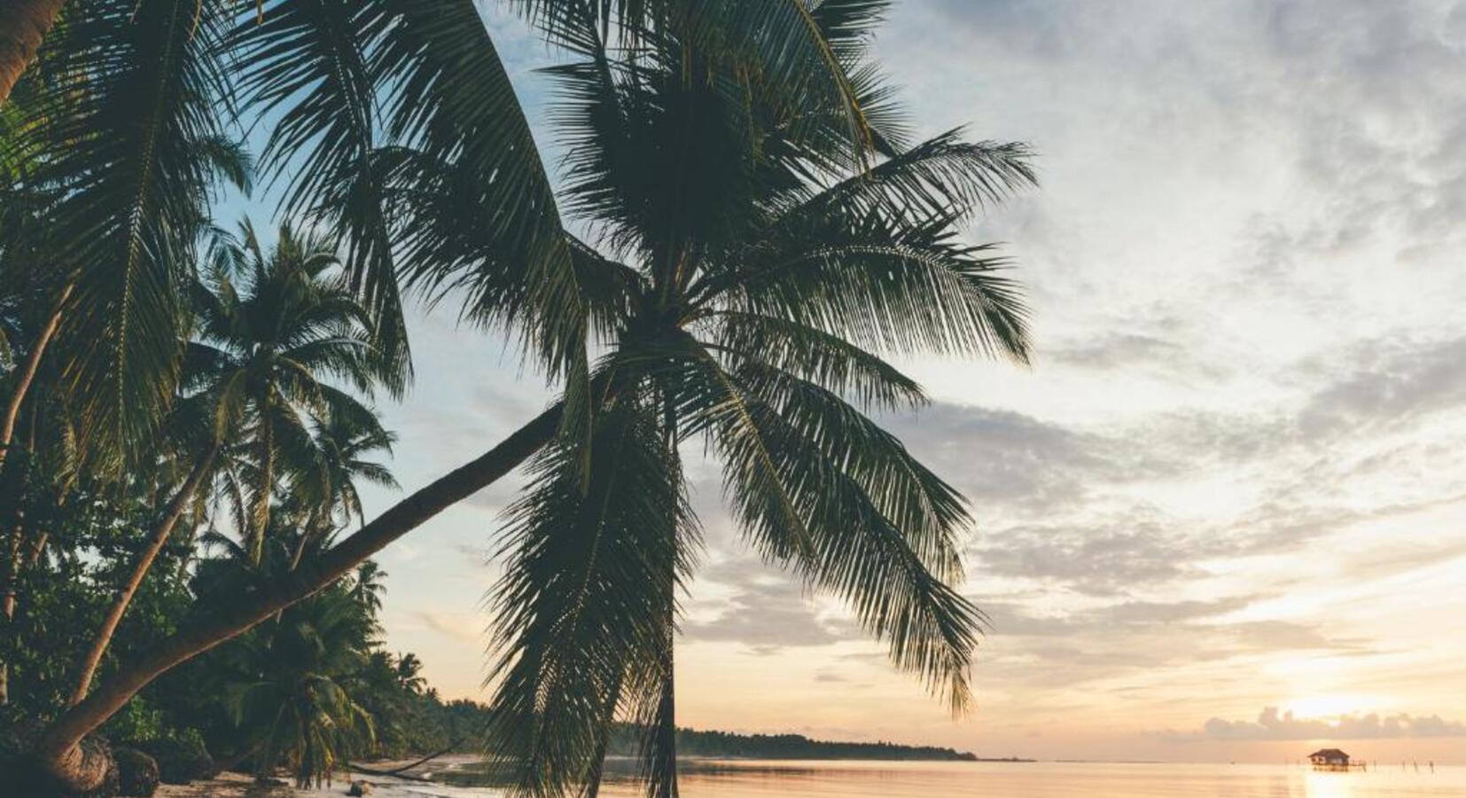 Beautiful Beach