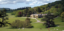 Coming soon - New Pig Hotel in Devon.