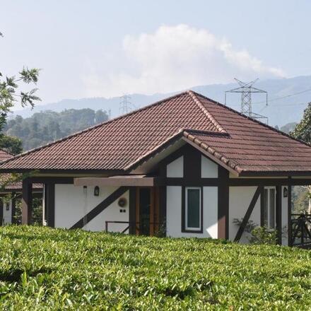 Plantation Cottage - Exterior