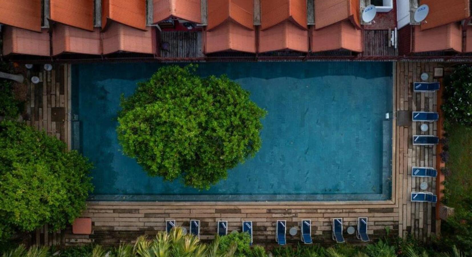 Aerial View of Swimming Pool 