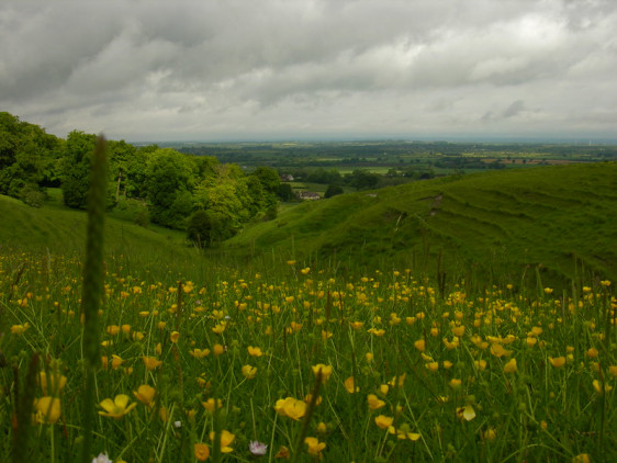 Berkshire Downs