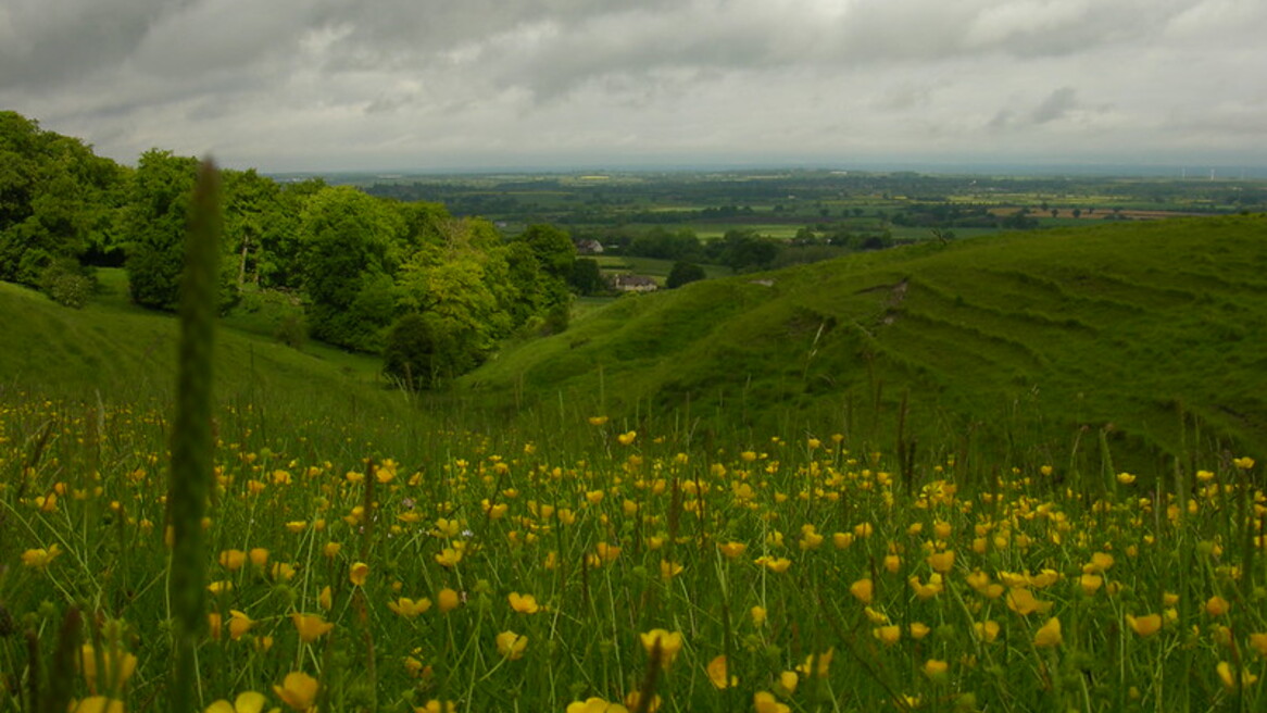 Berkshire Downs