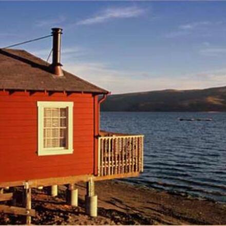 Nick's Cove