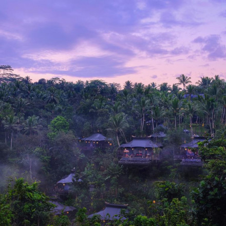 The 19 Best Jungle Resorts and Hotels in Bali