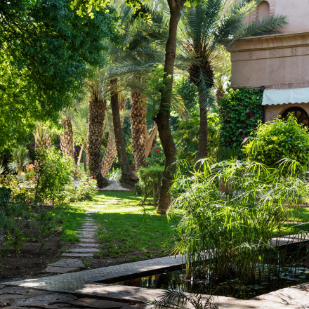 Lily Pond and Cactus Garden