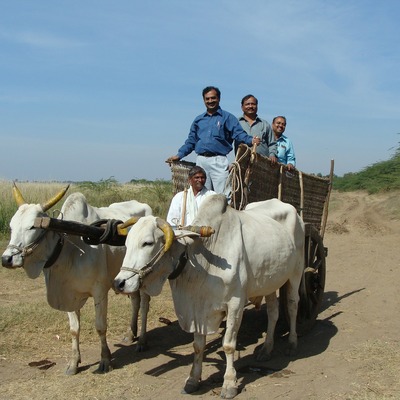 Karnataka, India