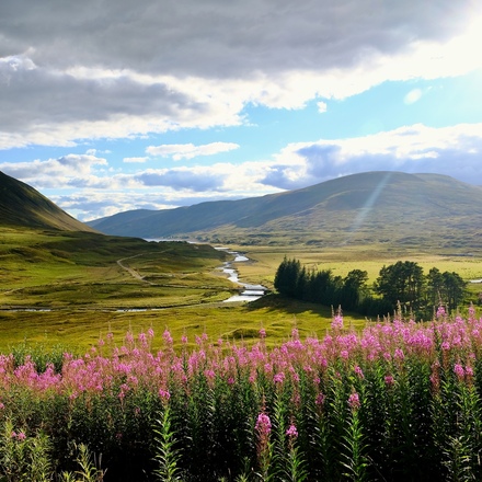 Los 20 Mejores Hoteles de Campo en Escocia