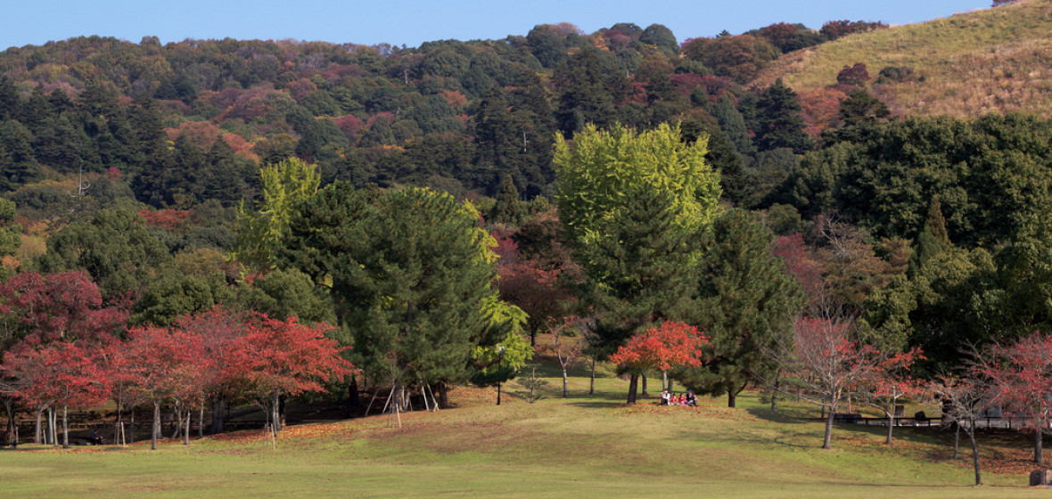 Best places to stay in Nara, Japan | The Hotel Guru