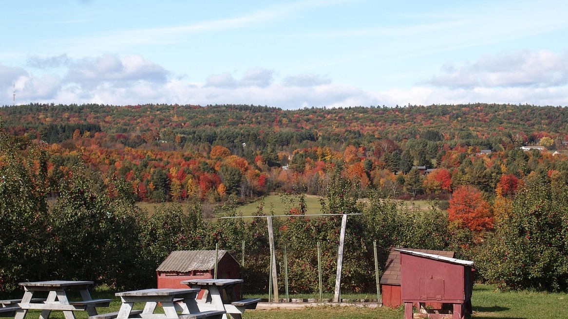 Vistas de West Dover
