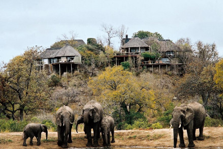 Leopard Hills Private Game Reserve