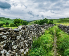 Die 19 besten hundefreundlichen Hotels in Yorkshire